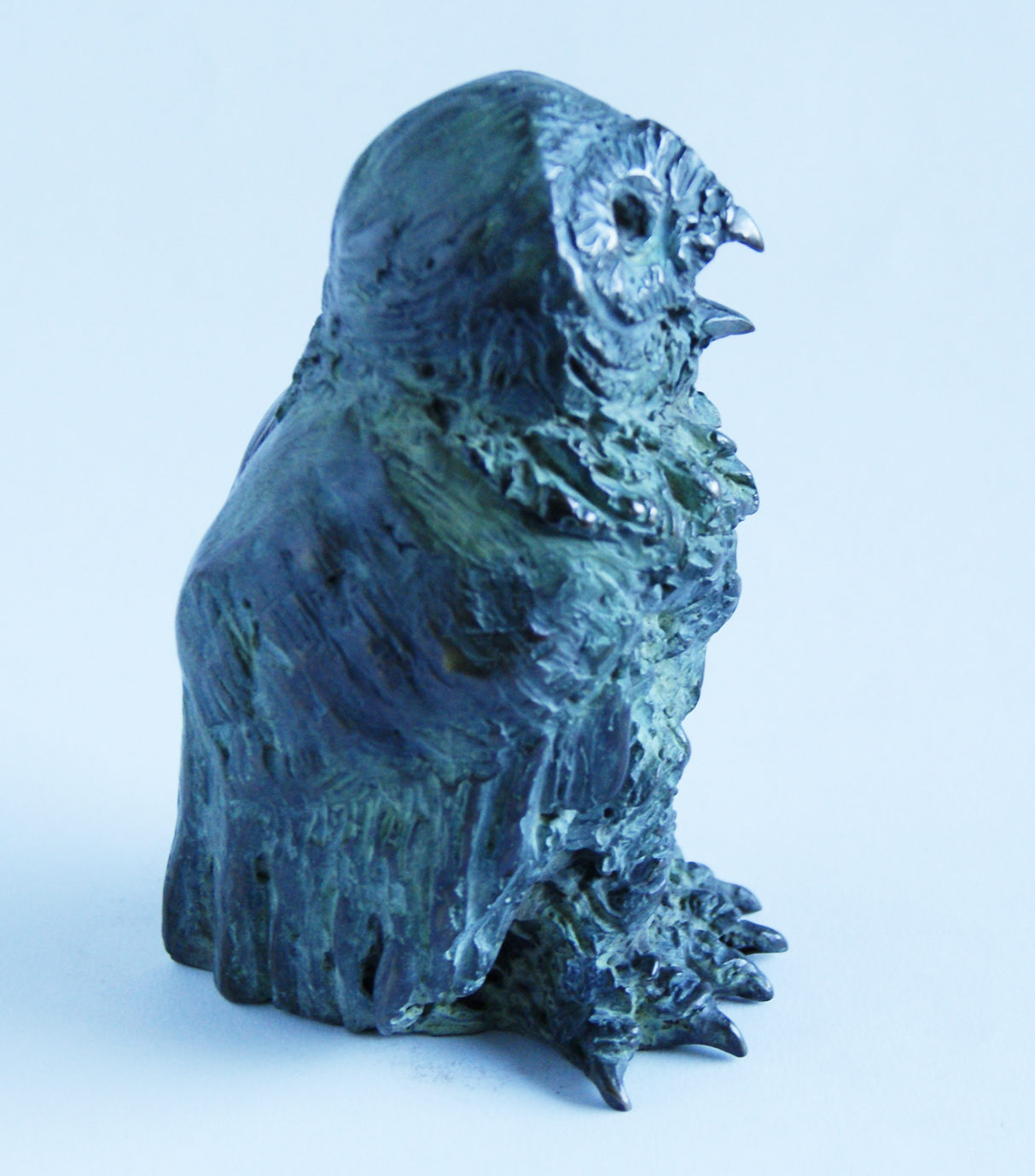 Fiona Zondervan Sneeuwuil