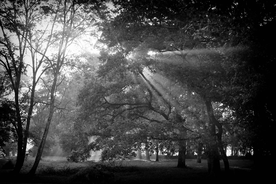 Tussen Hemel en Aarde