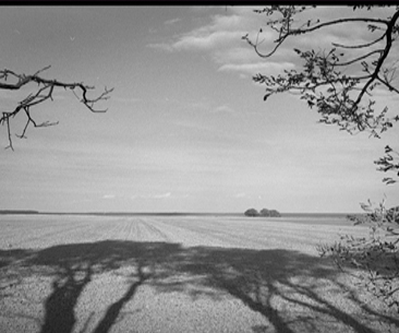 Robert van der Molen (vrij werk)